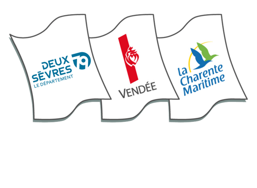 Logo IIBSN
